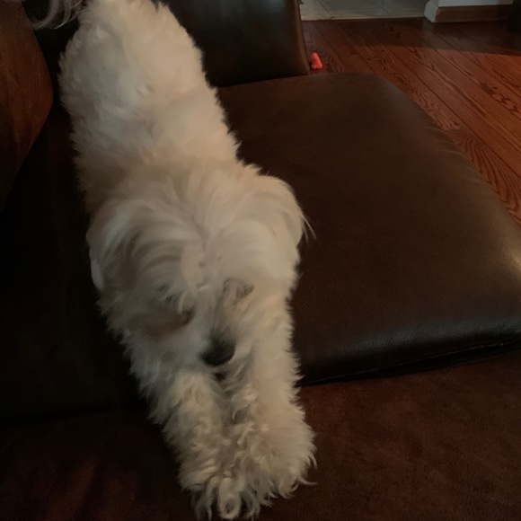 Meet your Posher, Linda - Picture 1 of 1